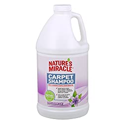 carpet shampoo