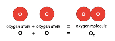 Oxygen molecule